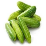 High Quality Fresh Cucumber/Frozen Cucumber/Sea Cucumber