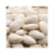 Import High Quality Japanese Type Dried White Kidney Bean from Canada