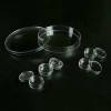High quality plastic medical petri dish injection mould,plastic petri dish injection mould