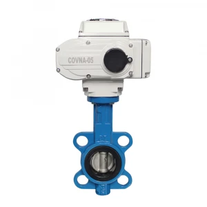 HOT SALE  AC220V DN50 Cast Iron Wafer  PTFE Seating Material  Motorized Control Butterfly Valve