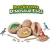 Import Hot Sale Dinosaur Eggs Dig Kit Animal Toy from China
