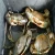 Import Hot Sale Live Mud Crabs,Blue Crabs,King Crabs /Live Seafood from United Kingdom