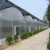 Import Hot sale Morocco farm anti-ultraviolet greenhouse agricultural polyethylene film tunnel greenhouse film from China