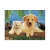 Hot Sale Wholesale Lenticular 3D Pictures of Animal cheap 3d picture