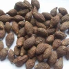 Hot sales  Malva Nuts for sale..