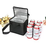 Hot Selling 6 cans beer cooler bag thermo bags for food delivery