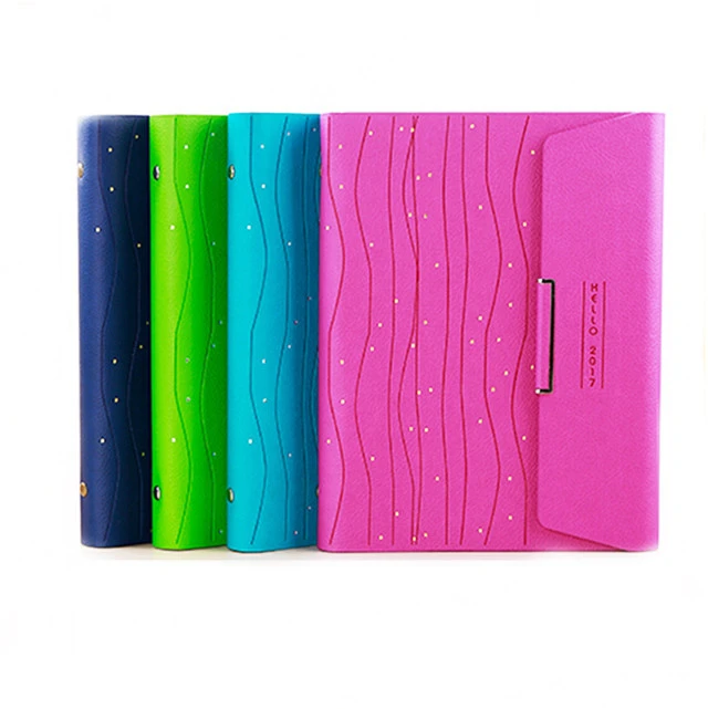 Hot selling Office /school colorful assured quality OEM Pp 2 Hole Ring Binder A4 Plastic File Folder Cover