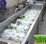 Hot Selling Stainless Steel Apple Ginger Carrot Potato Fruit Washer Vegetable Bubble Washing Machine for sale