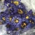 Import HOV4009 Lan lian hua Wholesale Natural Dried Blue Lotus Flower Tea Nymphaea tetragona from China