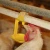 Import Huabo animal husbandry chicken nipple drinker from China