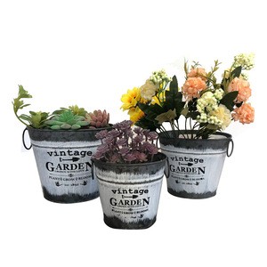 Indoor or Outdoor Decor Cactus Metal Planters Iron Flower Pot Circle Garden Container Box Succulent Bucket Basket