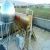 Integrated pressured solar water heater-vacuum solar collector
