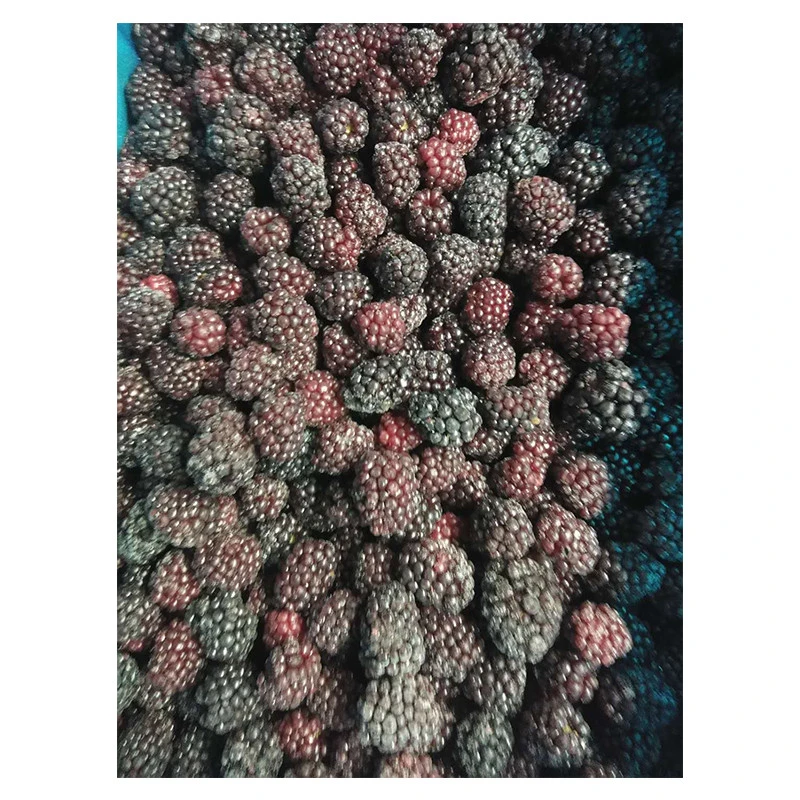 IQF frozen berries iqf frozen blackberry fruit in bulk