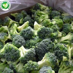 IQF Import bulk chinese organic brands frozen broccoli with wholesale prices
