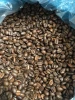 ISO HACCP Certification Rustic Roasted Robusta Coffee Bean 500g in Zipper Bag Packaging