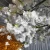 Import Large Indoor Landscape Decoration Fiberglass Trunk Artificial Flowers Cherry Blossom Tree from China