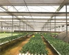 Large size multi-span steel structure plastic film greenhouse and tomato greenhouse and vegetable greenhouse with hydroponics
