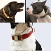 Leather pet collar Microfiber leather dog collar wholesale strong luxury dog collar