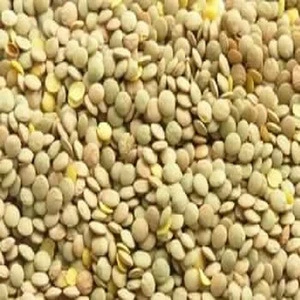 Lentils Red Pink Lentils All Colours, quality whole and split 100% Quality