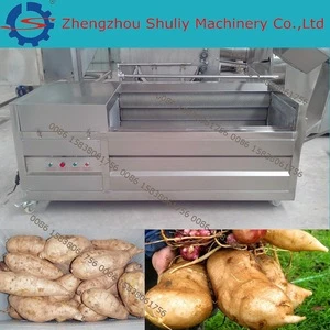 life time 10 years mini restaurant use vegetable washer