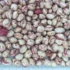 light speckled kidney bean, Xin Jiang type(780)