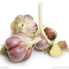 Liliaceous Vegetables Product Type and 10 Weight(kg)FRESH GARLIC FOR SALE