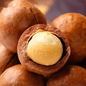 Macadamia Nuts Size 0 - Bulk - Made in Australia