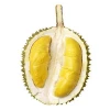 Malaysia Supplier of Fresh Fruit Durian