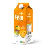 Manufacturer Beverage Free Sample 1000ml Paper Box MANGO JUICE DRINK