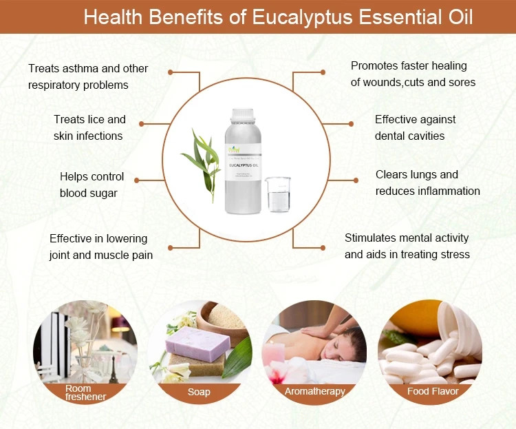 manufacturer extraction 100% natural organic skin whitening eucalyptus leaf essential oil bulk price