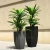Import Modem style decorative use fiberglass planter from China