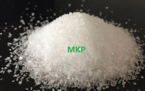 Mono Potassium Phosphate MKP 0-52-34 with High Quality