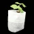 Import Multi-size Biodegradable Non-woven Nursery Bags Plant Grow Bags Fabric Seedling Pots Eco-Friendly Aeration Planting Bags from China