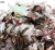 Import Natural color cheap wholesale Pheasant feather from China