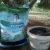New Biological Fertilizer Tea Fertilizer