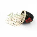 New Crop Chinese Edible Sell Snow White Pumpkin Seeds For Sale