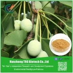 New design natto & ginkgo biloba extract capsule with low price