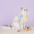 Import New Design Spring Autumn pet apparel clothes In Promotion from China