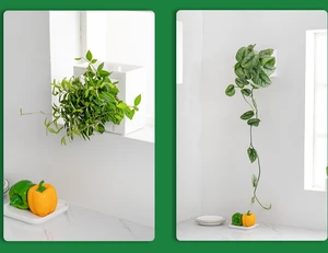 new design wholesale self watering plant pots  Wall hanging Automatic water absorbing plastic flower pot