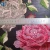 Import New Style High quality 3D Multi-color Floral Embroidery lace fabric from China