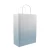 Import Normal size Biodegradable Tote eco paper bag Foldable smart Paper Shopping Bag from Pakistan