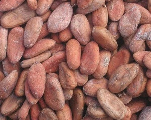 Organic Cocoa / Cacao Beans