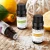 Import Organic custom scent oil 6pcs Essential Oil Set 10ml high quality essential home fragrance oil from China