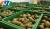 Import Organic Farm Price Kiwi in Fresh Kiwi Fruit Red Heart Kiwi Fruit from China