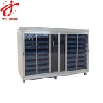 Pea bean radish sprouts growing machine Garlic seed cultivating sprouter machine  Mung bean sprout machine