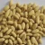 Import peanuts prices 1kg raw blanched price roasted peanut blanched peanuts price from China