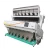 Import Plastic color sorter for chickpea or walnut cleaning equipment  from China factory price with pccd and 512 channels from China