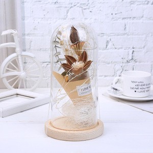 Popular design creative artificial dried flower in glass with light for home decoration