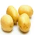 Import Potatoes :  export Holland fresh potato seed/seeds prices for sale from Germany