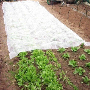 PP Agricultural Nonwoven Fabric/PP Non Woven/Crop Customized Agriculture Nonwoven PP Spunbond Fabric